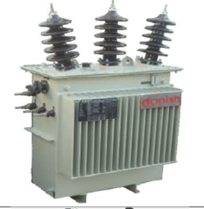 Danish Power Limited Distribution Transformer